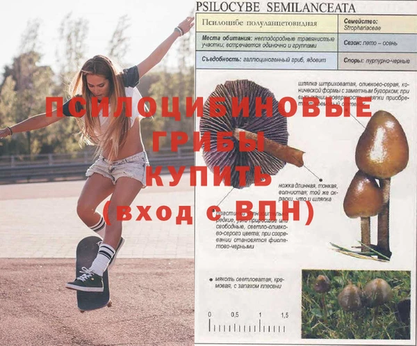 mdma Вяземский